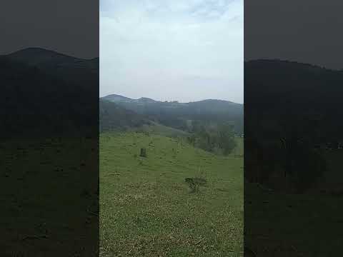 congonhinhas Paraná