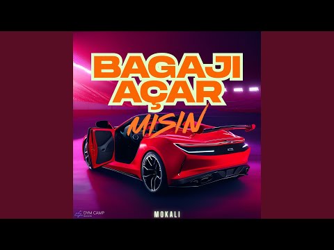 Bagajı Açar Mısın