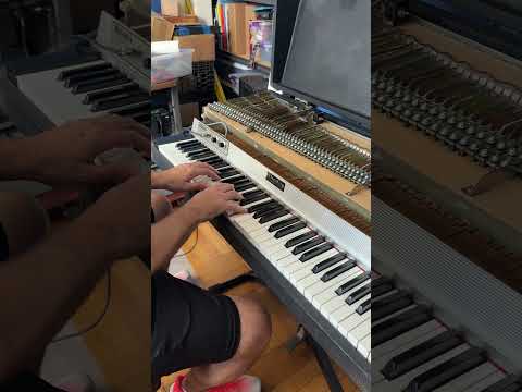 Rhodes Mark I Stage 73-Key Electric Piano 1976 image 11