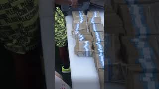 Boosie BadAzz bring out the money for the pool party 🏊💰 #worldstarhiphop #lilboosie #shorts #news