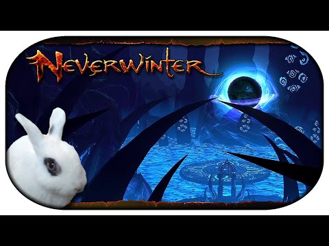 NEVERWINTER: Paladin-LP 🐇 179 - Der Paladin in Zauberpesthöhle (Meister) [MSP]