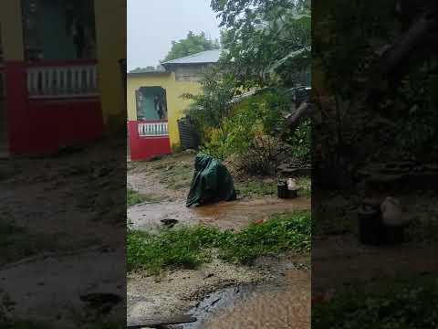 Falling a sleep in the rain @ZainAGChannel & chainsaw milling & adventures