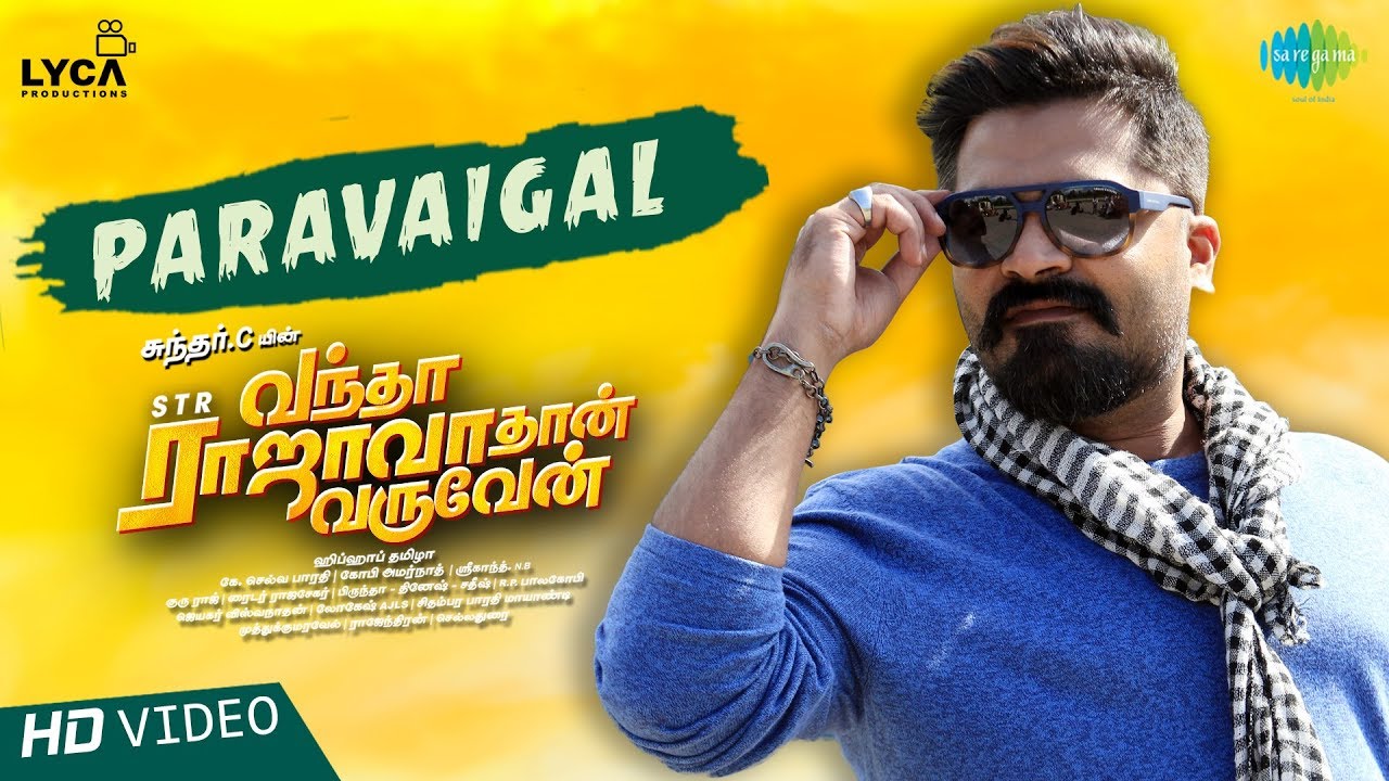 Paravaigal Lyrics  | Vantha Rajavathaan Varuven | Catherine Tresa | Hiphop Tamizha | Hiphop Tamizha