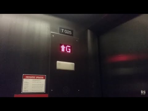 Otis Traction Elevator @ Morrill Hall - U of M - Minneapolis, MN