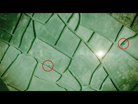 AMA e OMAR - Qualcosa di importante (video ufficiale)