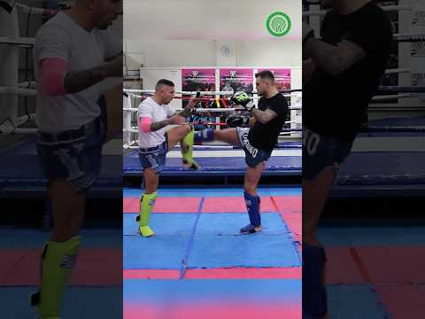 Check (défense low kick) - Counter