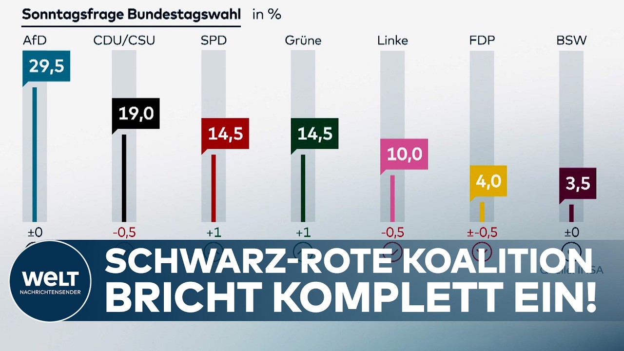 KANZLERAMT IM INSA-SCHOCK: AfD SPRINGT AUF 29,5 Prozent –  Union und SPD stürzen gnadenlos ab