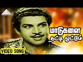 மாடுகளை தட்டி ஓட்டும் HD Video Song சந்திரலே�