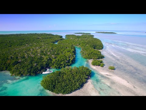 download lagu mp3 mp4 Florida Keys Islands, download lagu Florida Keys Islands gratis, unduh video klip Florida Keys Islands