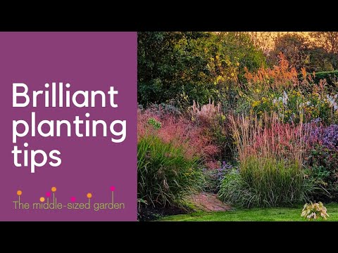 Expert Gardener Shares Top Tips for Filling a Gap in Your Border