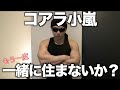コアラ小嵐!!2年ぶりに一緒に住まないか?