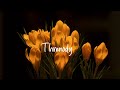 Two Gallants - Threnody (Lyrics)