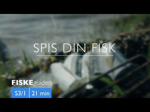 Spis din fisk med Gordon P. Henriksen