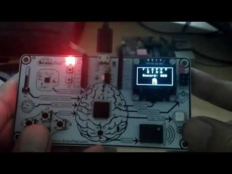 Flappy on the brainpad