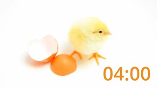 Egg-citing 4-Minute Easter Timer with Music