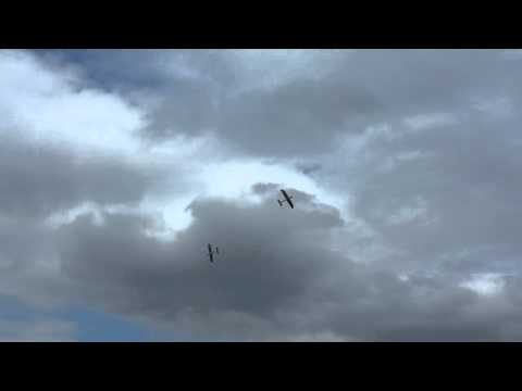 EasyStar - Für 3 Promille nicht schlecht