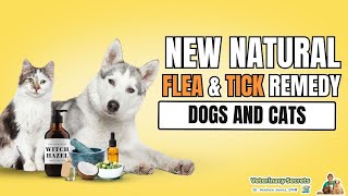 Awesome New Natural Flea and Tick Remedy for Dogs and Cats