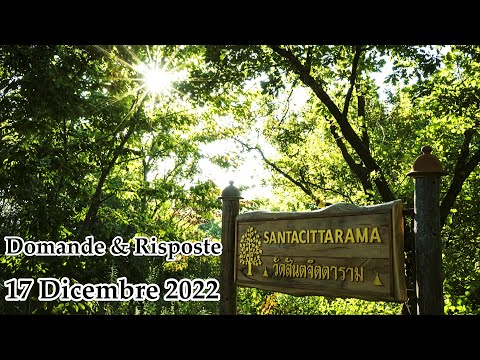 Ajahn Mahāpañño - Dhamma Domande e Risposte [Sabato 17 Dicembre 2022]