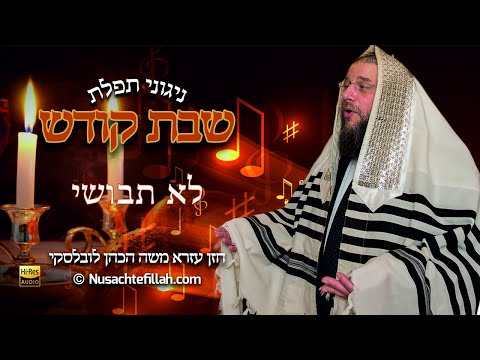 Song for Lo Sevoshi by R' David Werdyger - ניגון לא תבושי ר' דוד ורדיגר