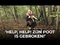 Maxime REDT GEWONDE HOND! | Chateau Meiland
