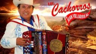 Los Cachorrros De Juan Villareal El Rayo De Sinaloa