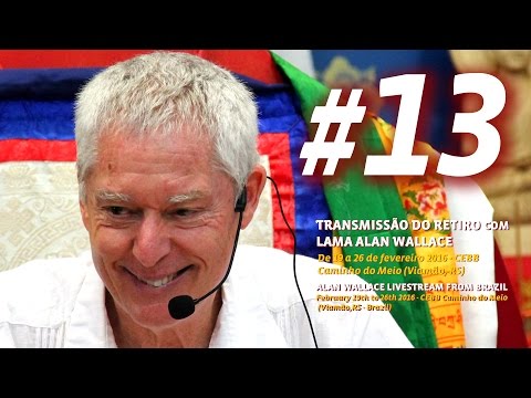 Retreat with Alan Wallace #13 | Why do we suffer? We don't see reality as it is (day 5, afternoon)