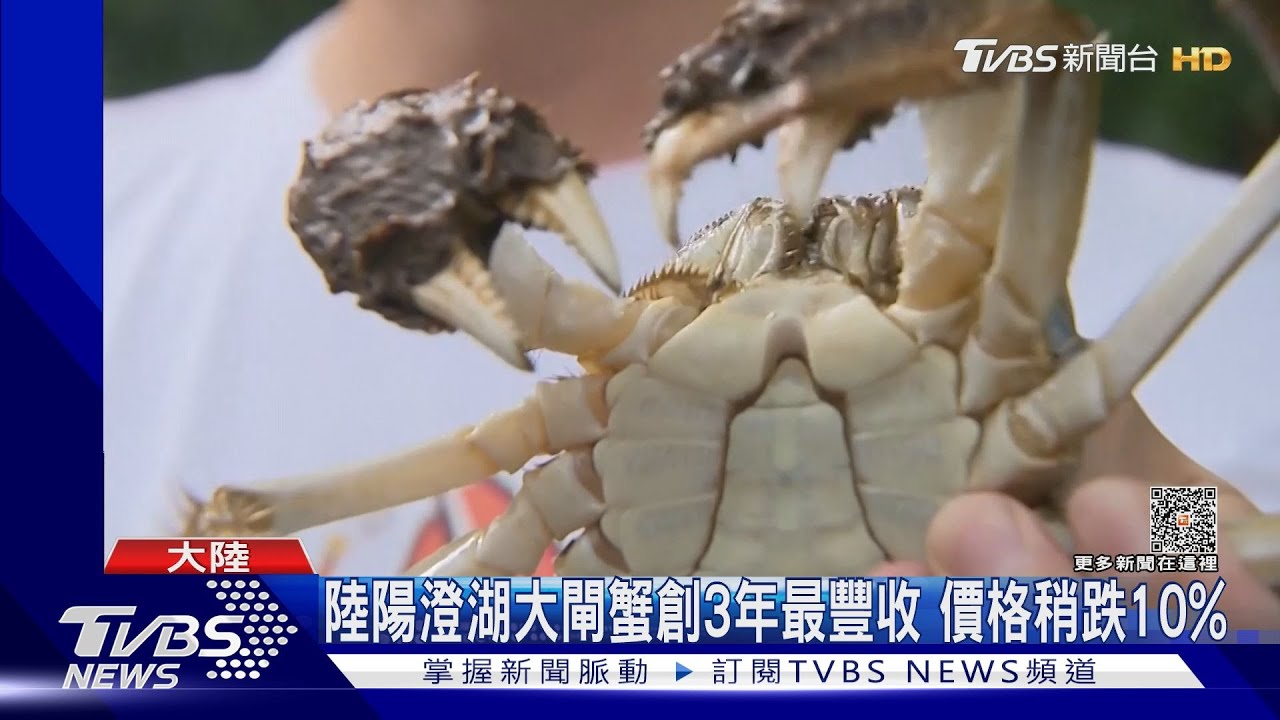陸農民一窩蜂效應! 「愛馬仕葡萄」、大閘蟹價格腰斬