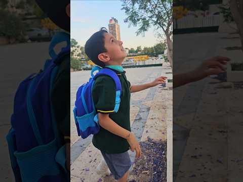 غزل البنات 🍡علقت فوق الشجرة 😱ماريا زعلت 😰