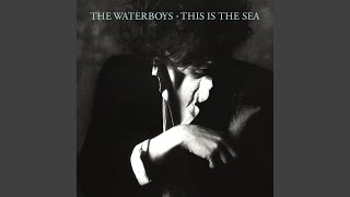 The Waterboys - This is The Sea