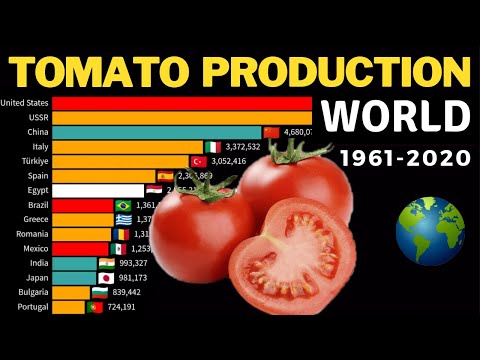 image-Who is the largest tomato grower in the world?
