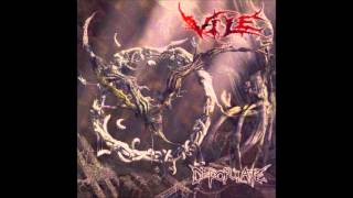 Vile - Depopulate (HQ)