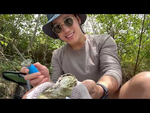 Shellfish Harvesting in Lilliwaup