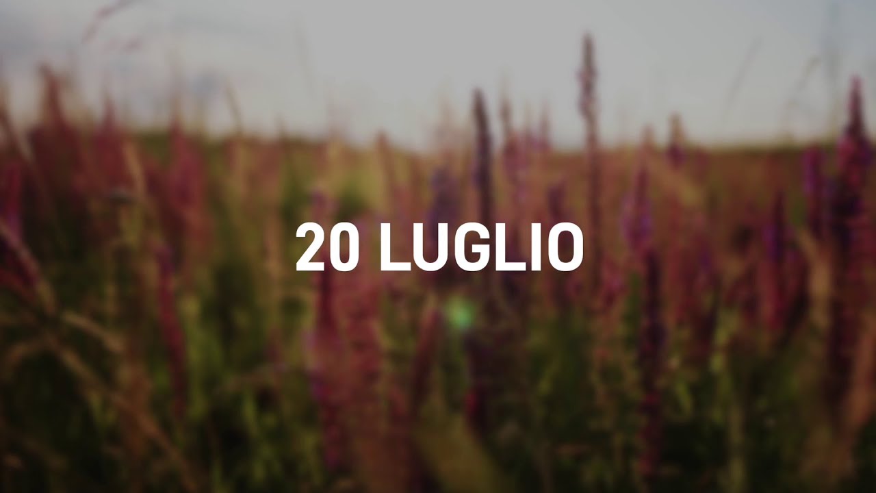 20 Luglio 2025 | Meditazione Parole di Vita