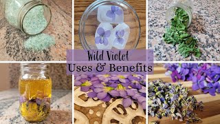 Download lagu Wild Violet Uses & Benefits mp3 Download lagu Wild Violet Uses & Benefits mp3