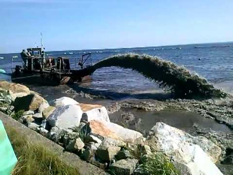 kuźnica 2013 bagier nowa plaża na syberii