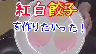 新年なのでおめでたい餃子を作ろう