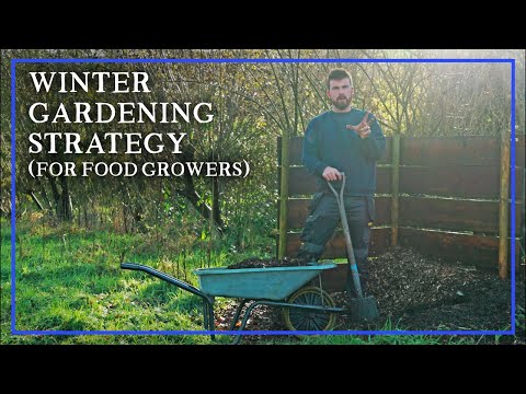 Winter Garden Prep: 2026 Season Strategy for Abundant Harvests