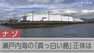瀬戸内海に浮かぶ「真っ白い島」　正体を確かめに上陸