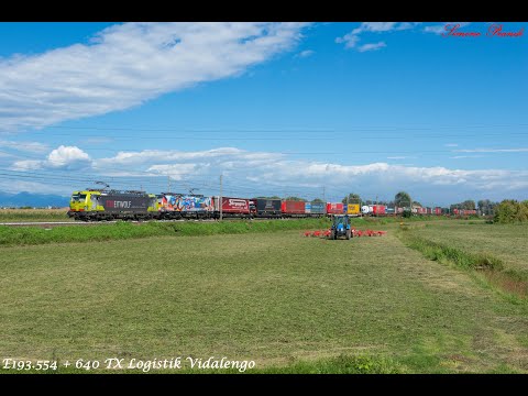 I treni della Milano-Venezia a Vidalengo (BG) - Estate 2017 - Parte 1
