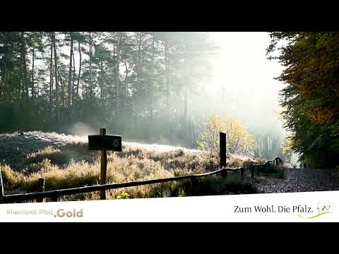 Pfälzer Geheimtipps - Dünenpfad Dudenhofen bei Speyer