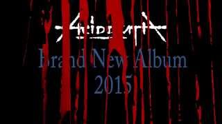 Acid Death - Hall Of Mirrors (album teaser)