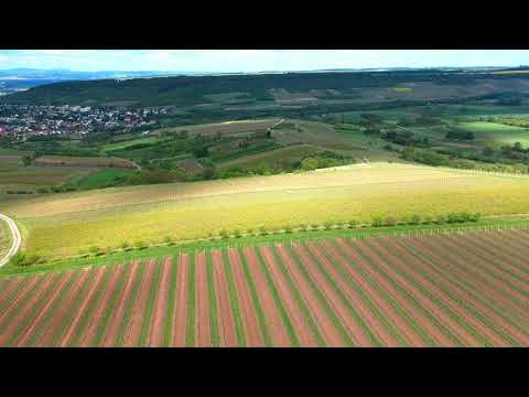 Drohnenflug Ockenheim
