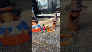 🎃ハロウィンの飾り付け、ご近所は本気、我が家はゆるめ🎃【カナダ生活】 #日中夫婦 #vlog #カナダ #ハロウィン