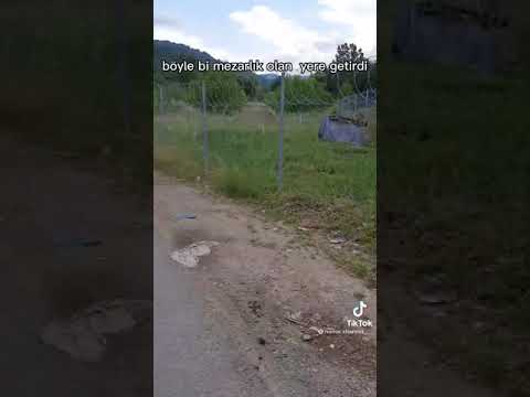 Ceset bulan uygulama