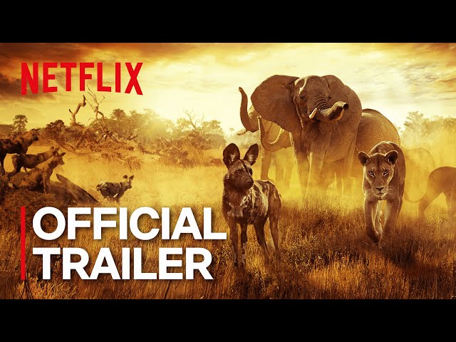 Surviving Paradise: A Family Tale | Official Trailer | Netflix