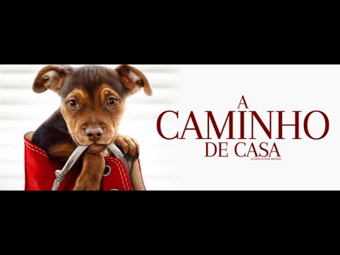 A CAMINHO DE CASA -  FILME AVENTURA FAMÍLIA DUBLADO
