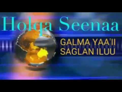 Seenaa Gootota Iluu Abbaa Boor