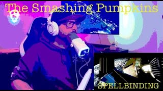 The Smashing Pumpkins   Spellbinding reaction