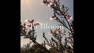 In Bloom – Abigail