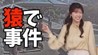 収録中に猿が画面いっぱいに映ってしまい笑いを堪えるのに必死だったお天気お姉さん【小林李衣奈】